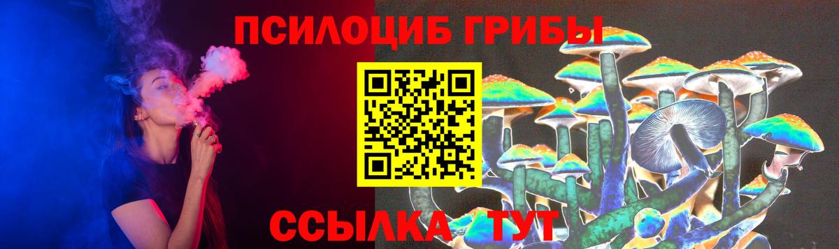 Псилоцибиновые грибы Psilocybine cubensis  Галлюциногенные грибы мицелий  Вход с VPN  как найти закладки  Егорьевск 